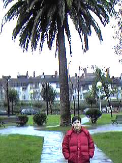 Zonas residenciales.