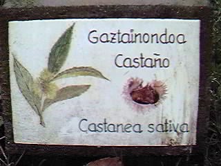 �D�nde se puede encontrar este �rbol?.