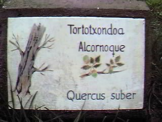 �D�nde se puede encontrar este �rbol?.