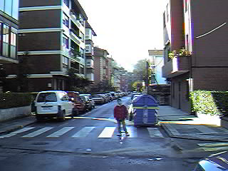 C/ Ibiabide, hacia la Avda. Santa Ana.