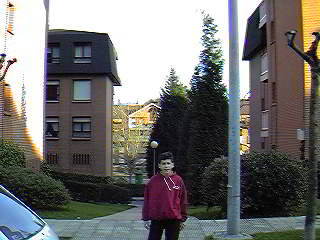 Avda. de los Chopos. Algorta.