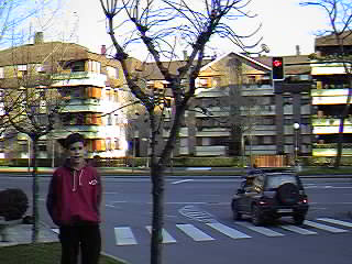 Avda. de los Chopos. Algorta.