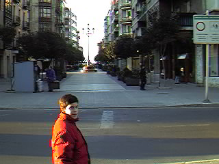 c/ Andr�s Larrazabal, zona peatonalizada, hacia el Muelle.