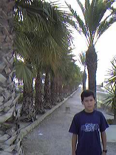 Urbanizaci�n Mil Palmeras.