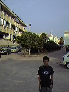 Urbanizaci�n Mil Palmeras.