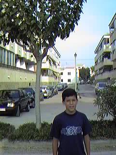 Urbanizaci�n Mil Palmeras.