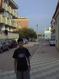 Urbanizaci�n Mil Palmeras.