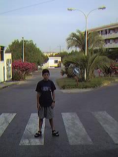 Urbanizaci�n Mil Palmeras.