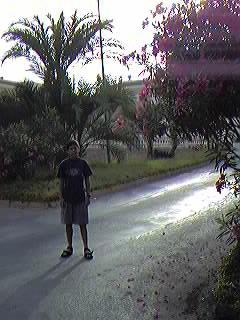 Urbanizaci�n Mil Palmeras.