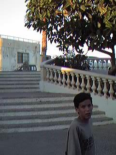 Urbanizaci�n Mil Palmeras.