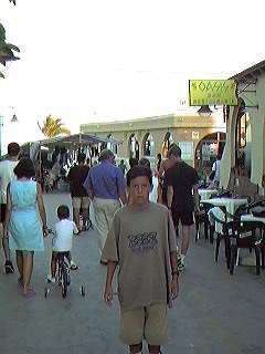 Paseo Romea (calle comercial).