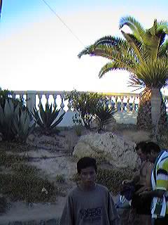 Urbanizaci�n Mil Palmeras.