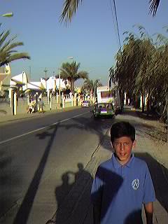 Urbanizaci�n Mil Palmeras.