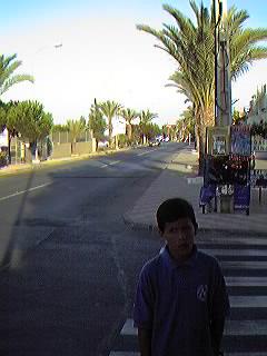 Avda. de Espa�a. Urbanizaci�n Mil Palmeras.