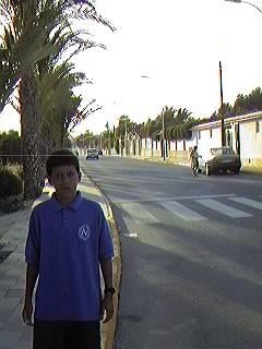 Avda. de Suecia. Urbanizaci�n Mil Palmeras.