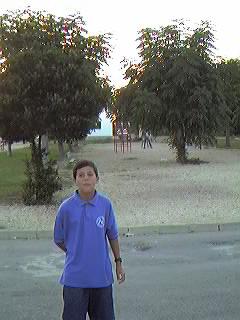 Urbanizaci�n Mil Palmeras.