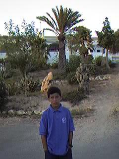 Urbanizaci�n Mil Palmeras.