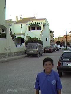 Chalets tipo VIKINGO. Urbanizaci�n Mil Palmeras.