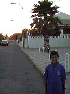 Urbanizaci�n Mil Palmeras.