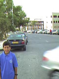 Avda. de Francia. Urbanizaci�n Mil Palmeras.