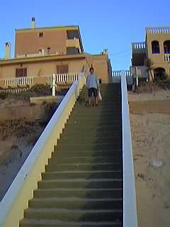 Acceso a los bungalows Jessica. Paseo de la Urbanizaci�n Mil Palmeras.