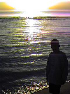 Urbanizaci�n Mil Palmeras.