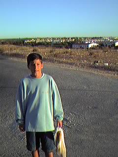 Urbanizaci�n Mil Palmeras.