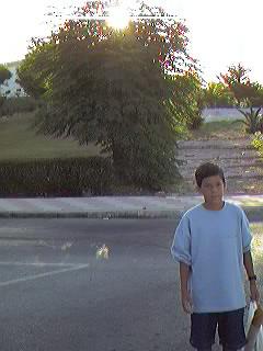 Urbanizaci�n Mil Palmeras.