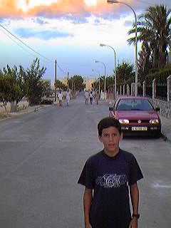 Avda. de Italia. Urbanizaci�n Mil Palmeras.