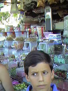 Mercadillo ( de los martes). Urbanizaci�n Mil Palmeras.