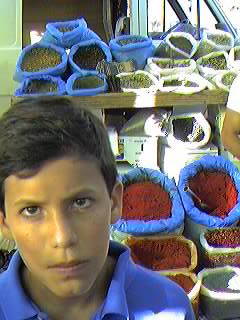 Mercadillo ( de los martes). Urbanizaci�n Mil Palmeras.