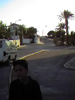 Avda. de Suecia. Urbanizaci�n Mil Palmeras.