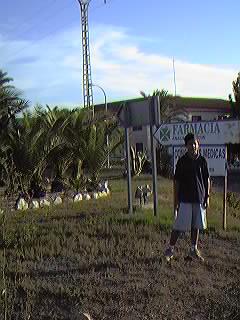 Avda. de Espa�a. Urbanizaci�n Mil Palmeras. (Ver foto de ampliaci�n abajo)