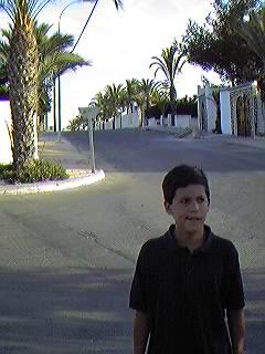 Avda. de Suecia. Urbanizaci�n Mil Palmeras.