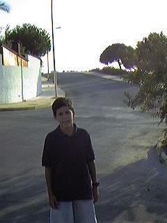 Avda. de Austria. Urbanizaci�n Mil Palmeras.