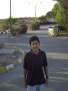 Hacia el acceso desde la carretera. Urbanizaci�n Mil Palmeras.