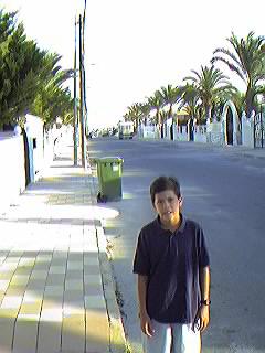 Avda. de Suecia. Urbanizaci�n Mil Palmeras.