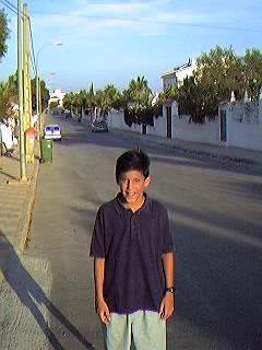 Avda. de Suecia. Urbanizaci�n Mil Palmeras.