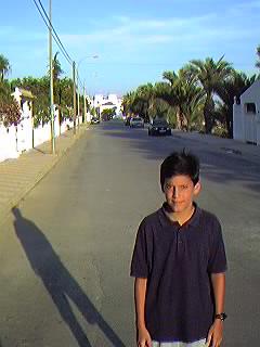 Avda. de Suecia. Urbanizaci�n Mil Palmeras.