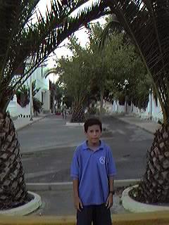 Urbanizaci�n Mil Palmeras.