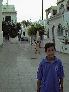 Hacia el Paseo Romea. Urbanizaci�n Mil Palmeras.