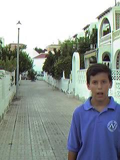 Hacia el Paseo Romea. Urbanizaci�n Mil Palmeras.