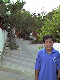 Hacia el Paseo Romea. Urbanizaci�n Mil Palmeras.