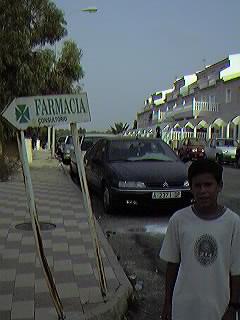 Urbanizaci�n Mil Palmeras 2. Bungalows Sevilla. Pulsa aqu� para verlos.