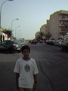 Urbanizaci�n Mil Palmeras 2.