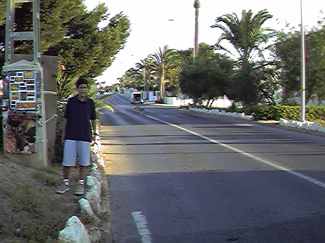 Acceso principal a la Urbanizaci�n Mil Palmeras desde la carretera N-332, entre Dehesa de Campoamor y Torre de la Horadada.