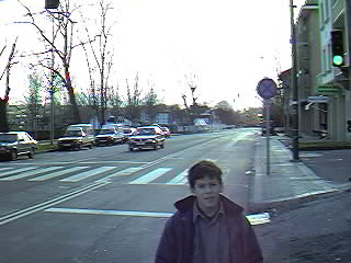 Avda. de los Chopos.