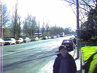 Avda. de los Chopos. Algorta.