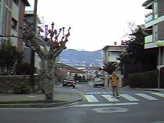 c/ Amboto, hacia la playa de Arrigunaga. Esta zona ser� ampliada pr�ximamente...