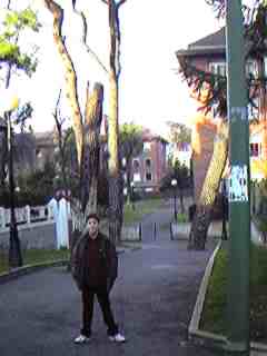 Parque p�blico San Joseren.